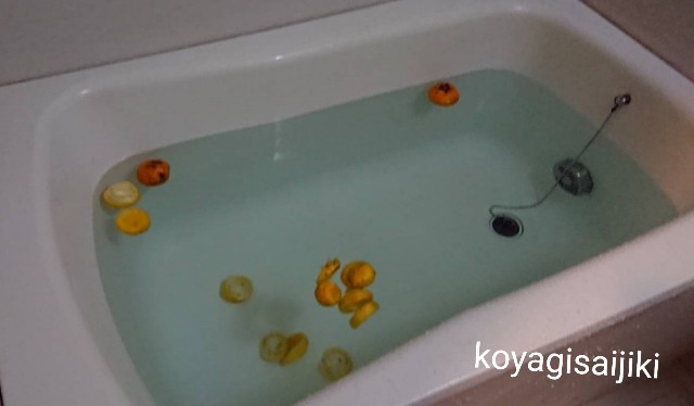 f:id:koyagi-saijiki:20191222235502j:image f:id:koyagi-saijiki:20191222235502j:image