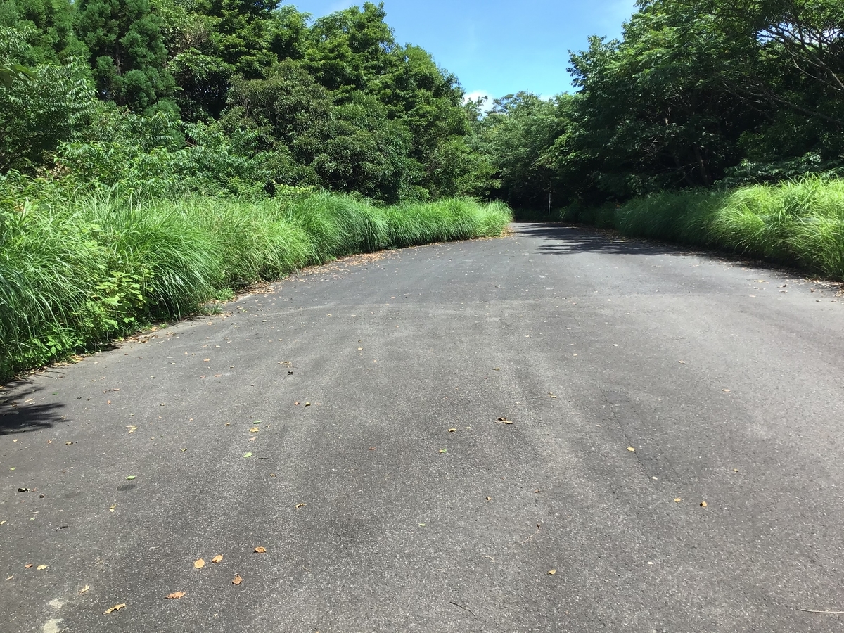 白鹿岳 曾於市の最高峰登山 ゆったりしたい
