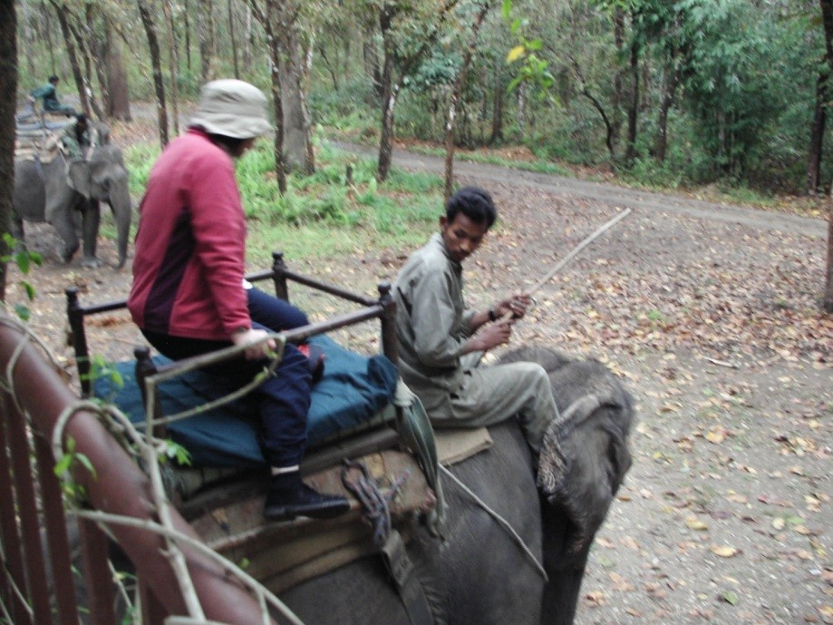 f:id:koyaken4852:20220106141625j:plain