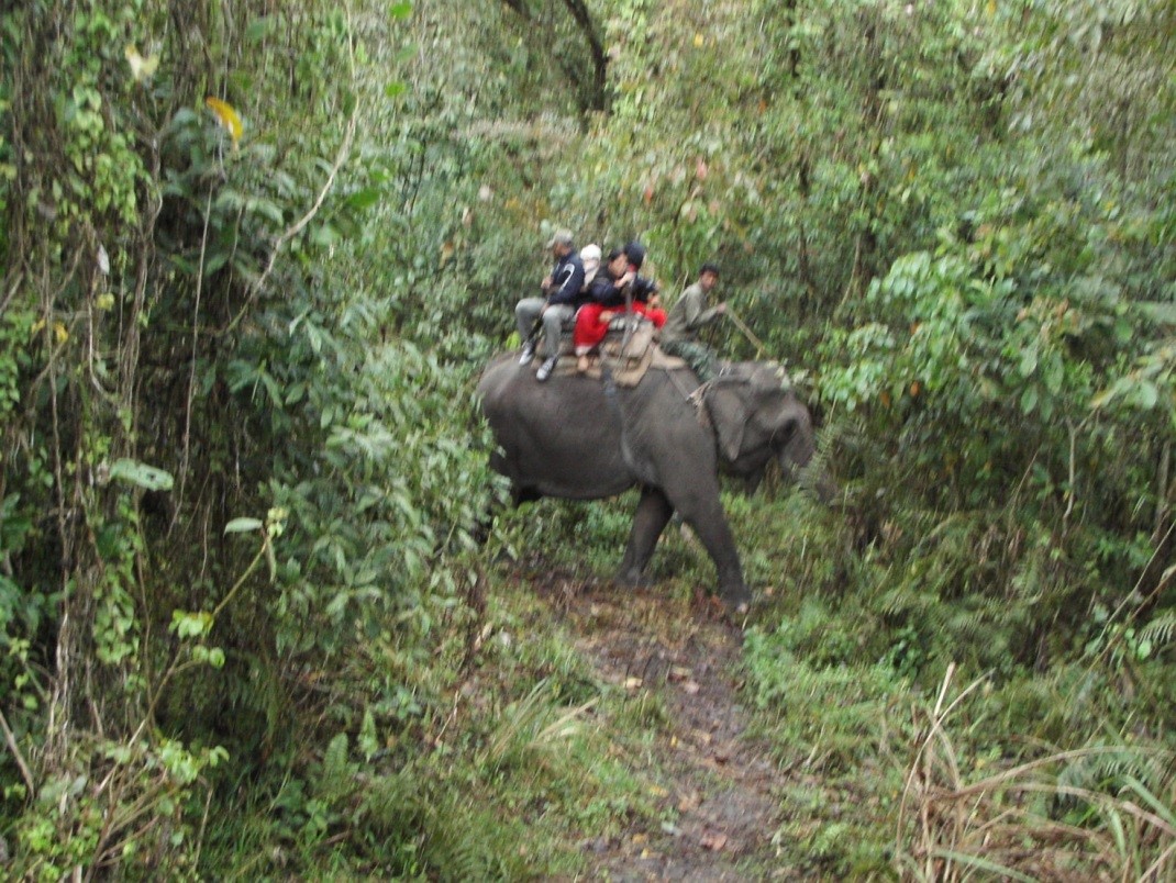 f:id:koyaken4852:20220106141759j:plain