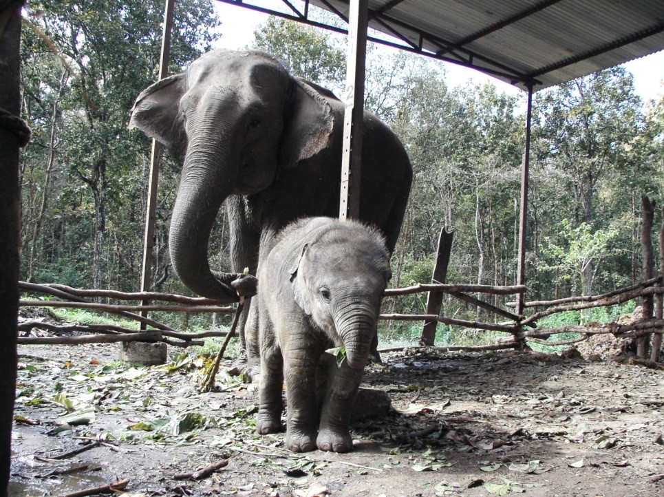 f:id:koyaken4852:20220106141924j:plain