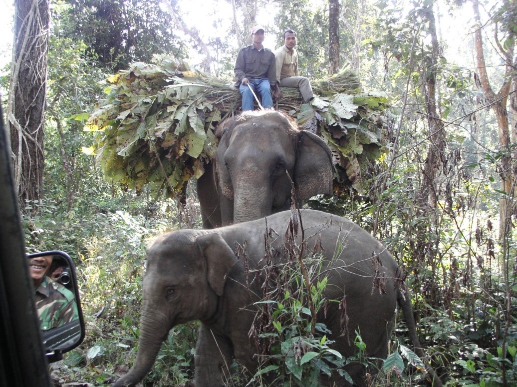 f:id:koyaken4852:20220106141936j:plain