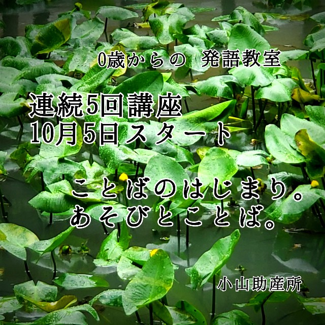 f:id:koyamajosan:20200925140502j:image