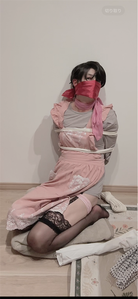f:id:koyoali:20251101224856p:image