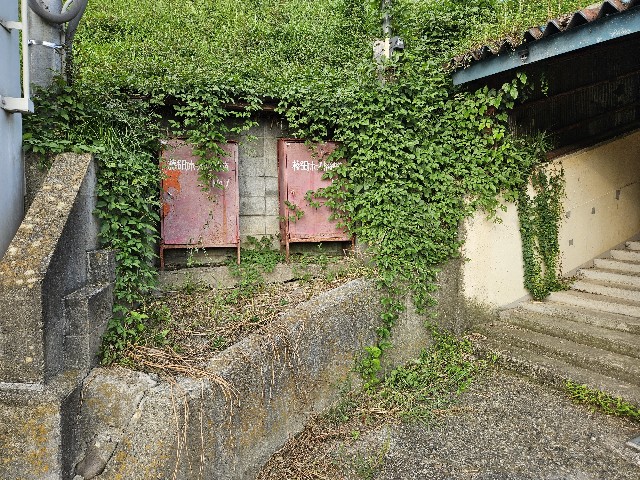 f:id:koyoikaze:20240917070102j:image