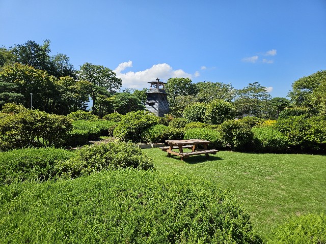 f:id:koyoikaze:20240918055440j:image