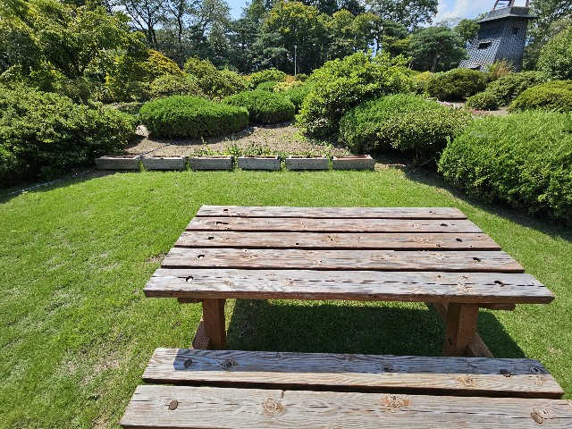 f:id:koyoikaze:20240918055643j:image