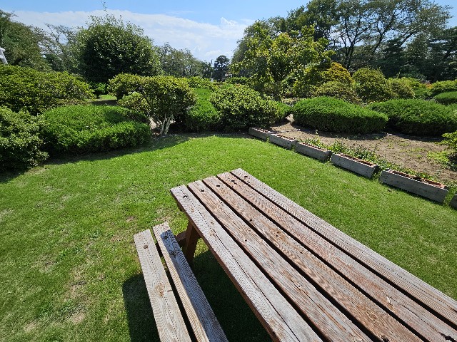 f:id:koyoikaze:20240918055812j:image