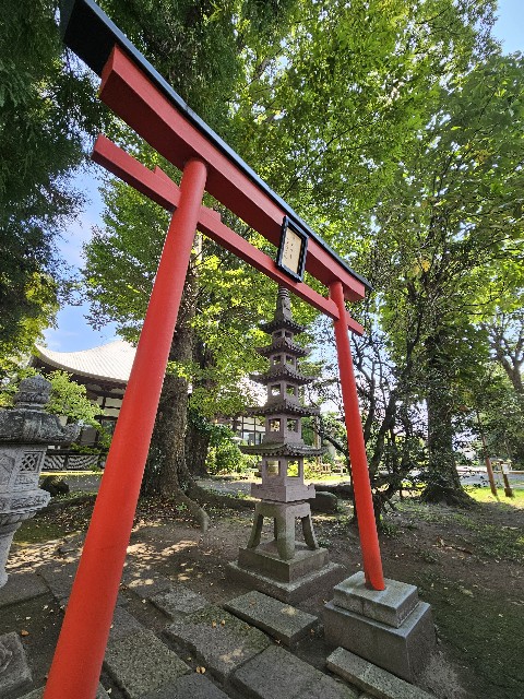 f:id:koyoikaze:20240919075709j:image