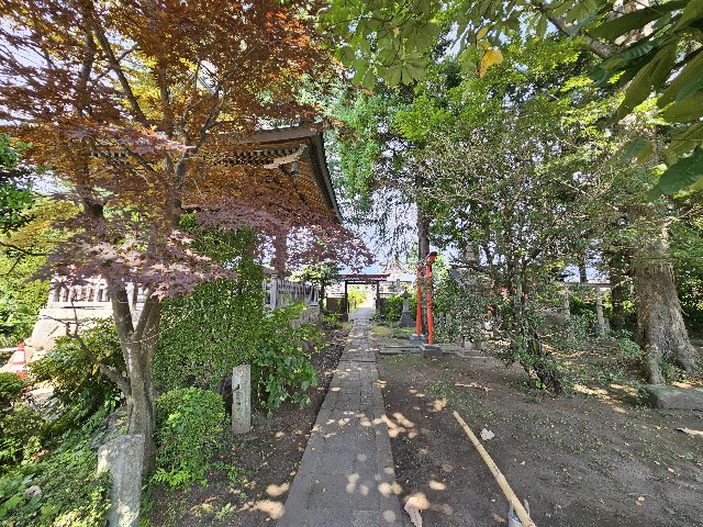 f:id:koyoikaze:20240919075725j:image