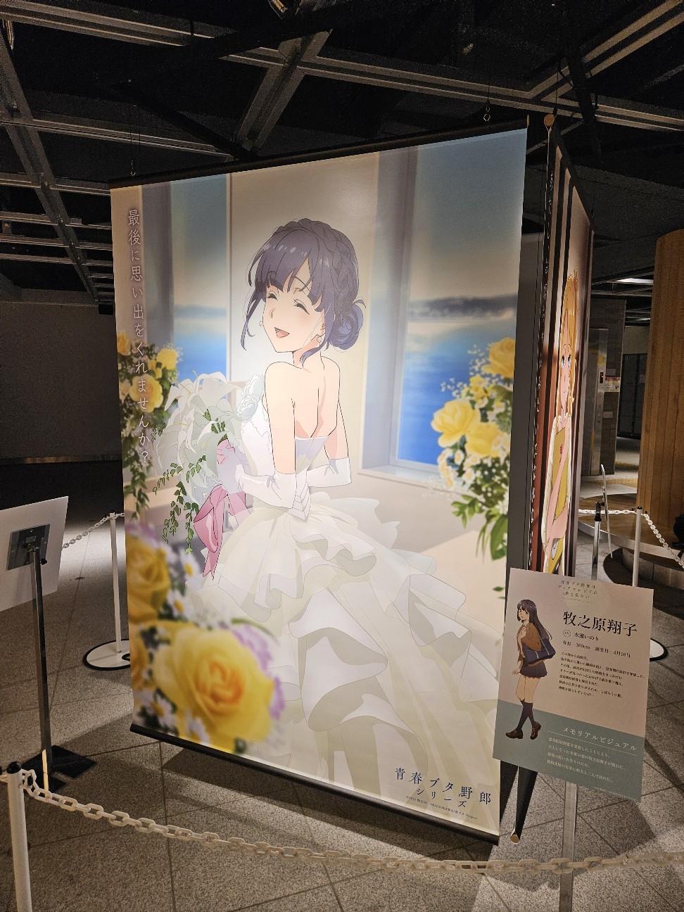 f:id:koyoikaze:20260822094855j:image