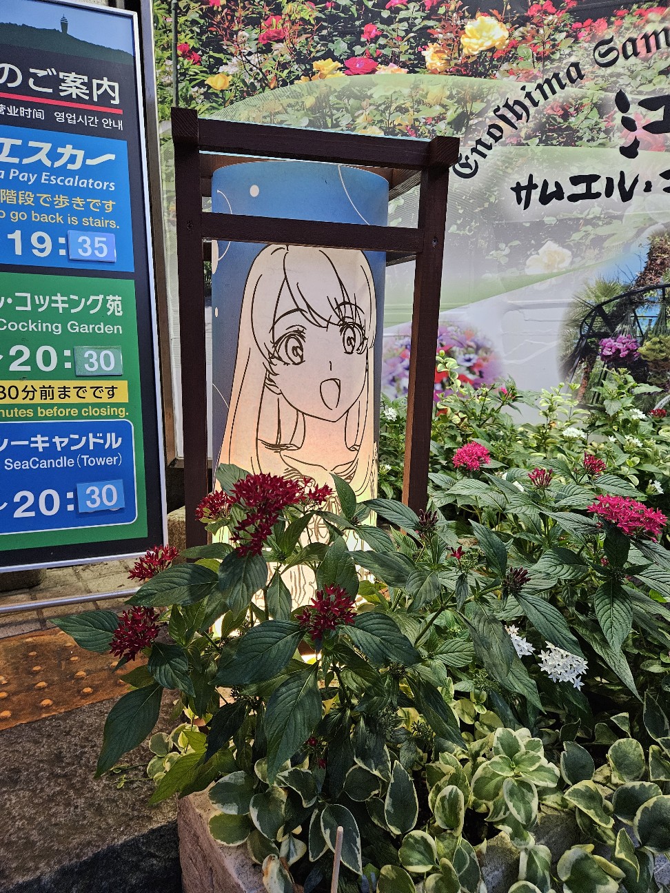 f:id:koyoikaze:20260824013052j:image