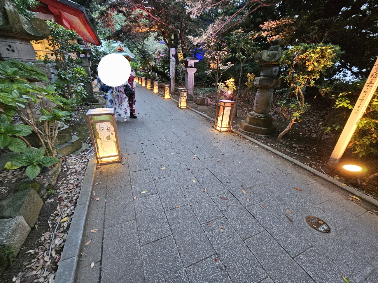 f:id:koyoikaze:20260824014504j:image