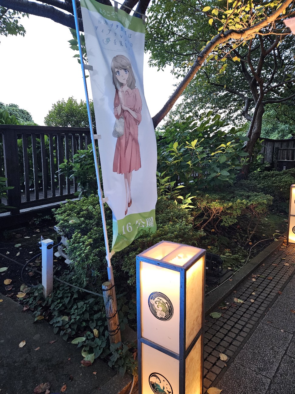 f:id:koyoikaze:20260824014505j:image