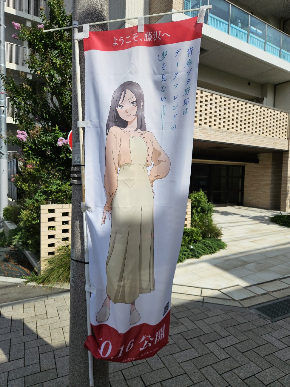 f:id:koyoikaze:20260824184158j:image