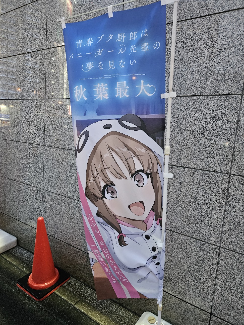 f:id:koyoikaze:20260912012313j:image