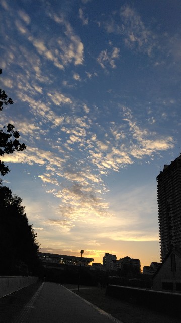 f:id:koyoo:20251002183927j:image