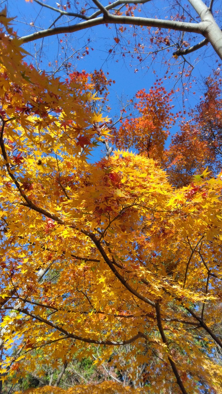 慌ただしく過ぎる