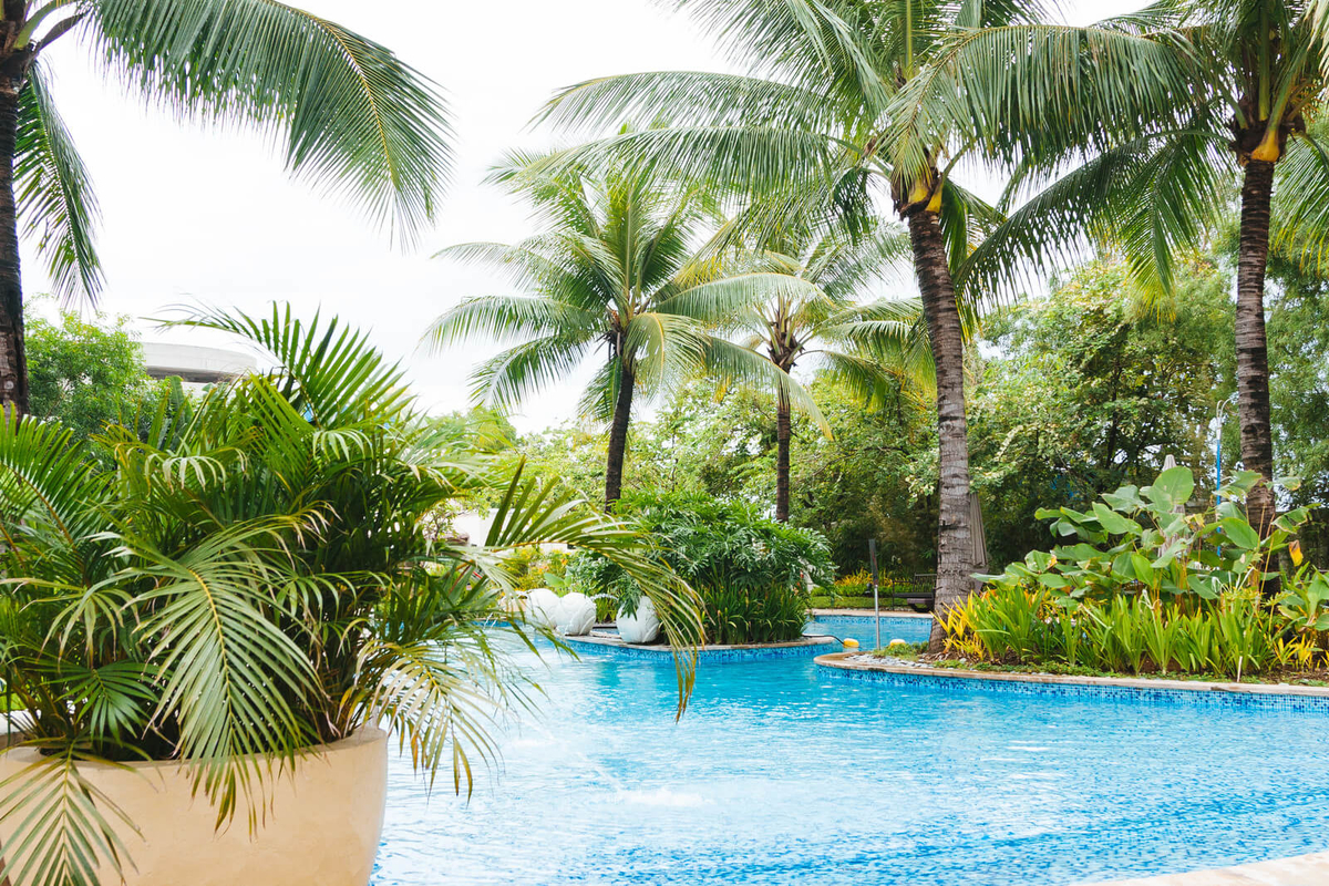 f:id:koyoux:20210206112213j:plain