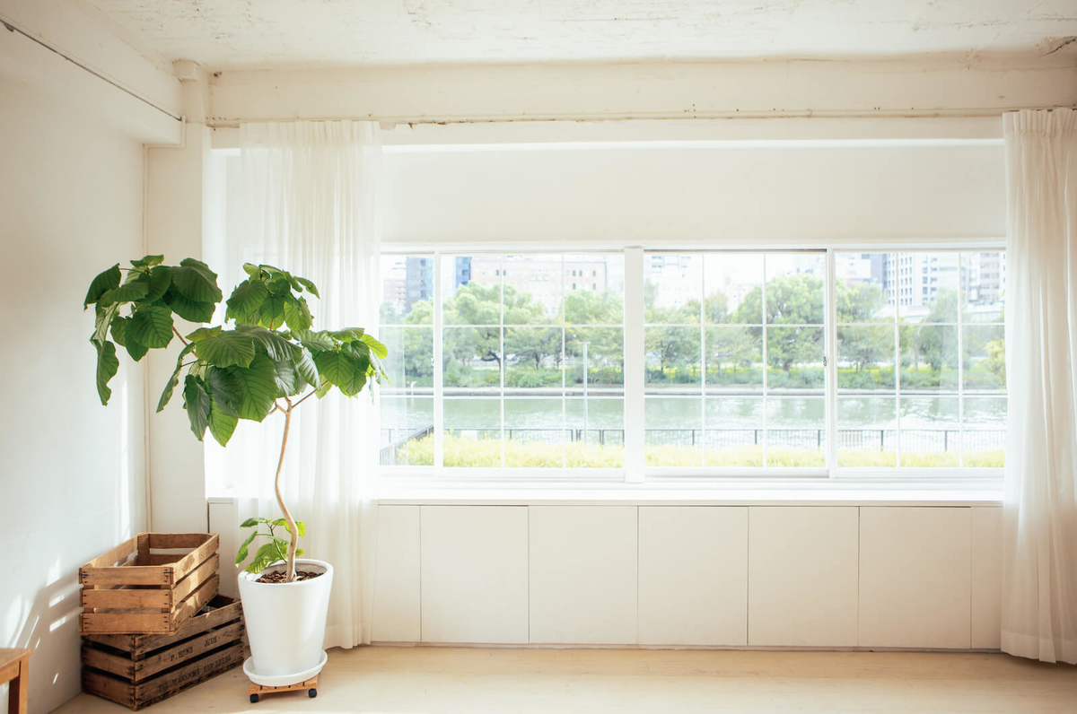 観葉植物のある部屋