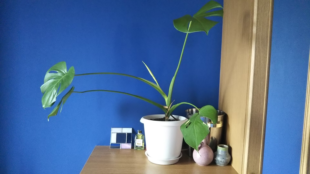 f:id:koyukitti1101:20190825123527j:plain f:id:koyukitti1101:20190825123527j:plain