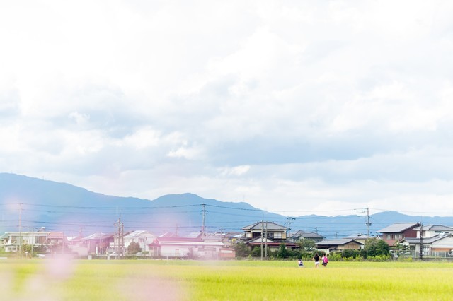 f:id:koyukiusagi:20190702111021j:plain