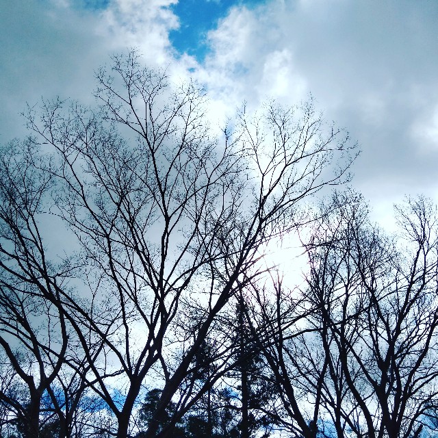 f:id:koyukiusagi:20210329225238j:image