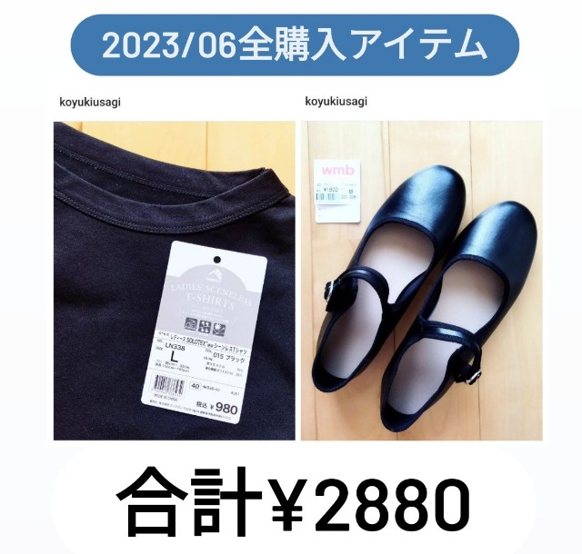 f:id:koyukiusagi:20230811131713j:image