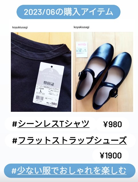 f:id:koyukiusagi:20230811185621j:image