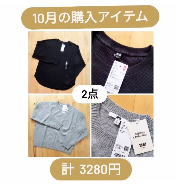 f:id:koyukiusagi:20240615075935j:image