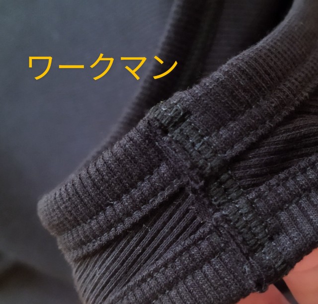 f:id:koyukiusagi:20240729101437j:image
