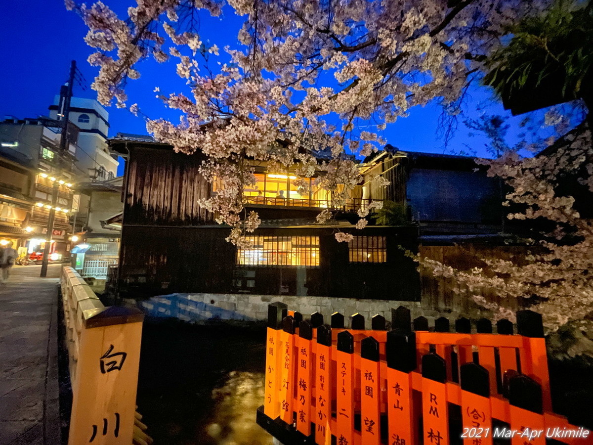 f:id:koyukizou:20210331184823j:plain