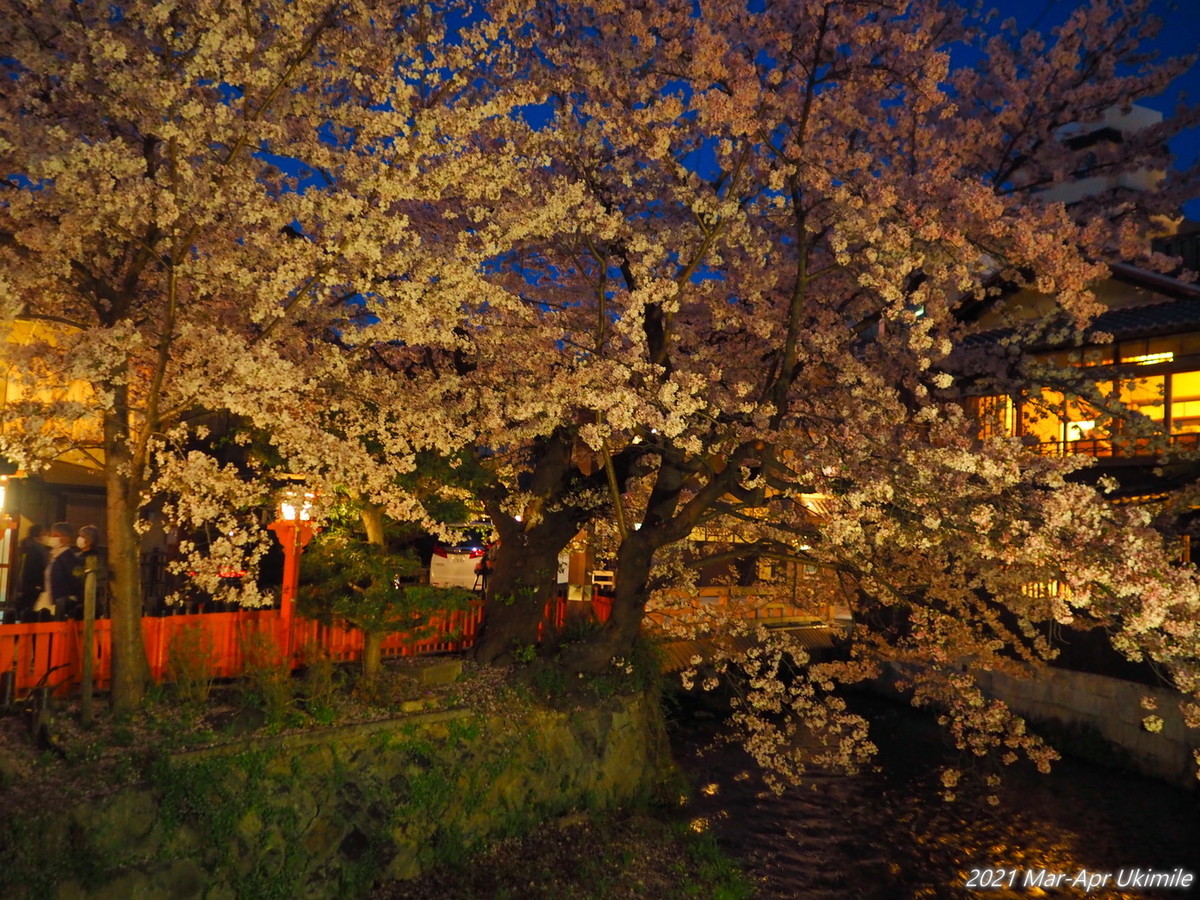 f:id:koyukizou:20210331185030j:plain
