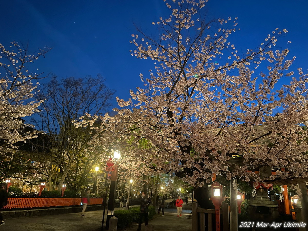 f:id:koyukizou:20210331185213j:plain