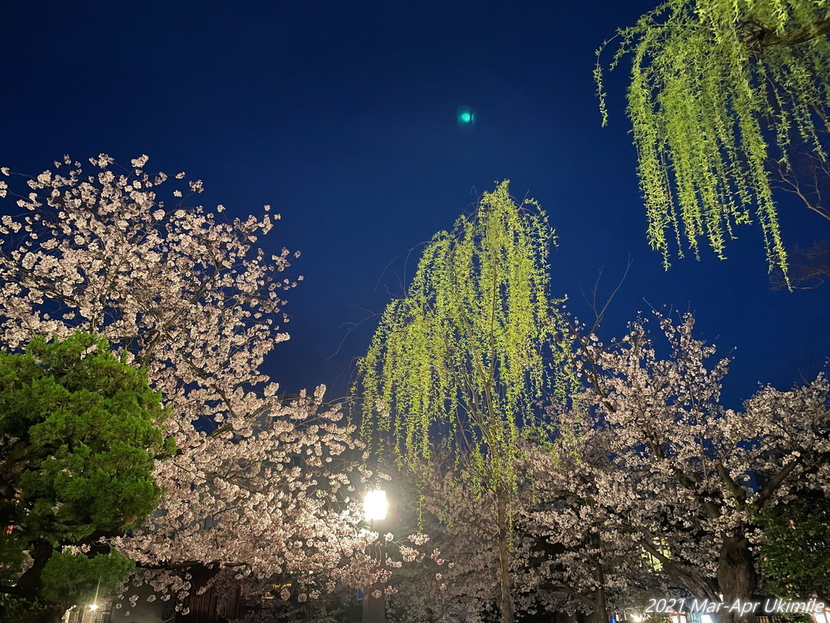 f:id:koyukizou:20210331185422j:plain