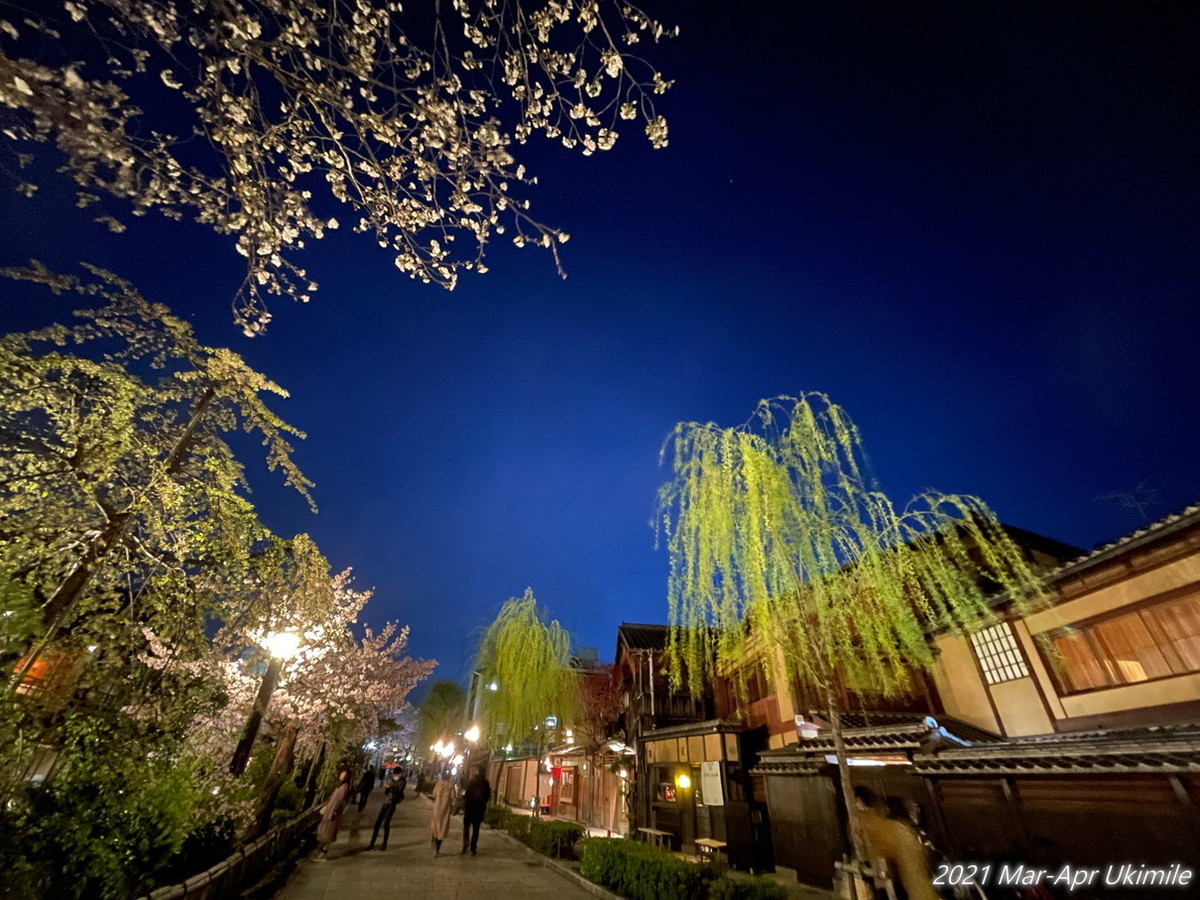 f:id:koyukizou:20210331190022j:plain