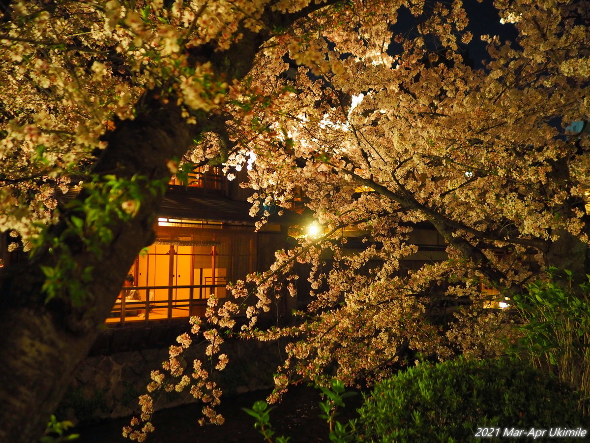 f:id:koyukizou:20210331190117j:plain