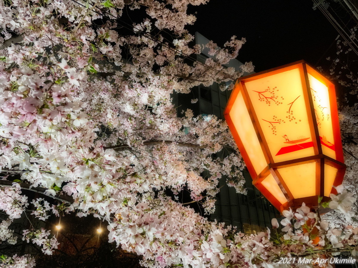 f:id:koyukizou:20210331192041j:plain