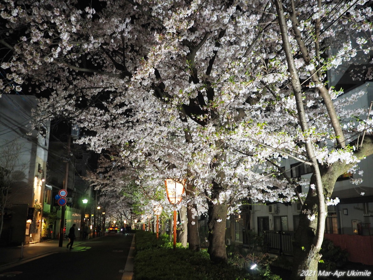 f:id:koyukizou:20210331192353j:plain