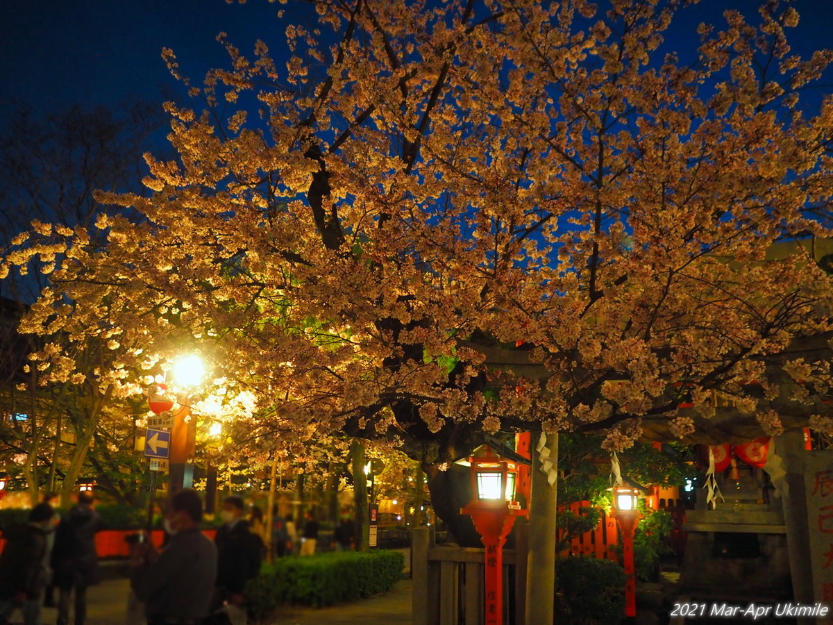 f:id:koyukizou:20210419230929j:plain