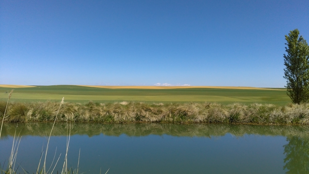 カストロへリス|フロミスタ|カミーノデサンティアゴ|caminodesantiago|巡礼|スペイン|小堺建築研究所|福岡の建築設計事務所
