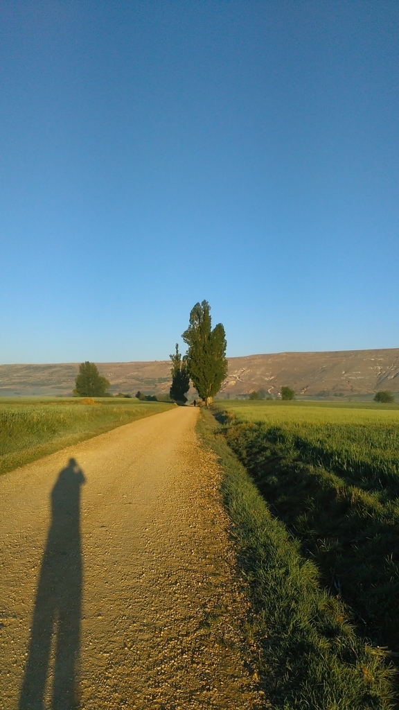 カストロへリス|フロミスタ|カミーノデサンティアゴ|caminodesantiago|巡礼|スペイン|小堺建築研究所|福岡の建築設計事務所