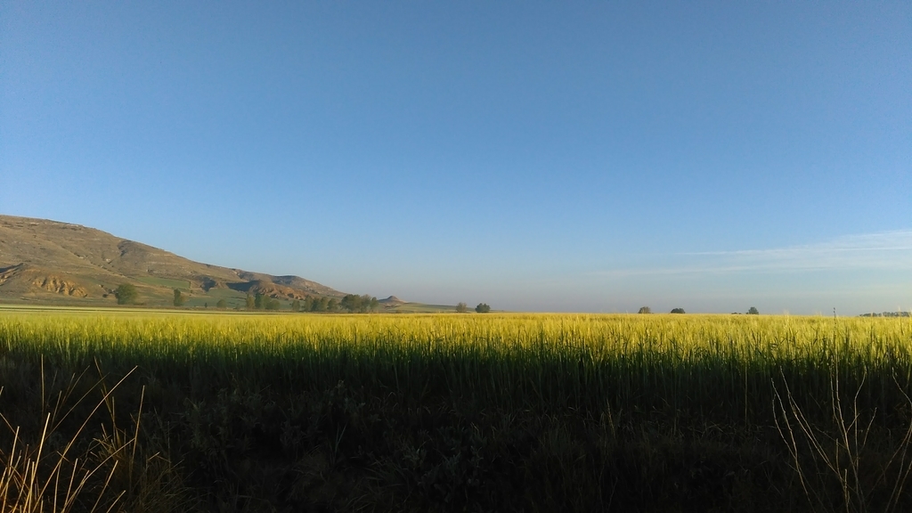 カストロへリス|フロミスタ|カミーノデサンティアゴ|caminodesantiago|巡礼|スペイン|小堺建築研究所|福岡の建築設計事務所
