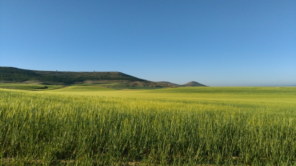 カストロへリス|フロミスタ|カミーノデサンティアゴ|caminodesantiago|巡礼|スペイン|小堺建築研究所|福岡の建築設計事務所