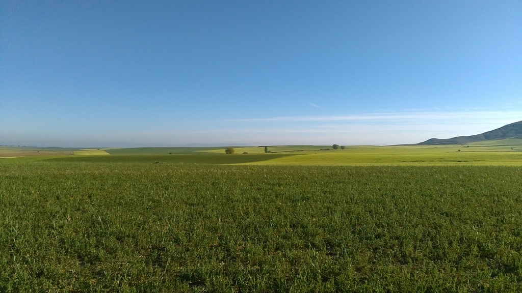 カストロへリス|フロミスタ|カミーノデサンティアゴ|caminodesantiago|巡礼|スペイン|小堺建築研究所|福岡の建築設計事務所