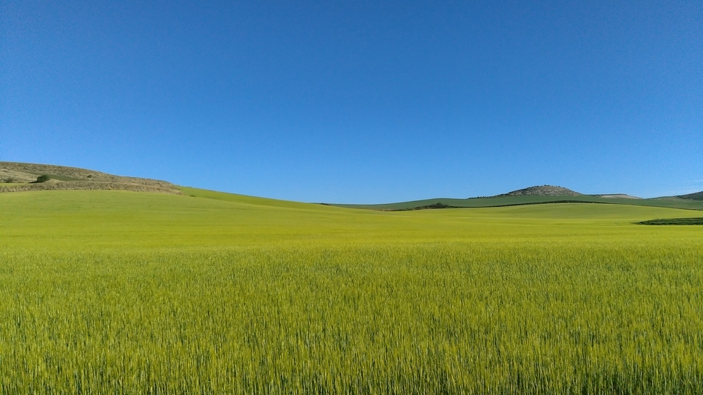 カストロへリス|フロミスタ|カミーノデサンティアゴ|caminodesantiago|巡礼|スペイン|小堺建築研究所|福岡の建築設計事務所