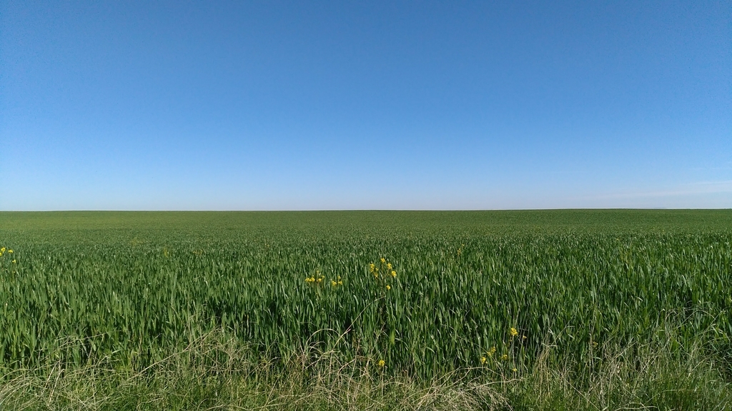 カストロへリス|フロミスタ|カミーノデサンティアゴ|caminodesantiago|巡礼|スペイン|小堺建築研究所|福岡の建築設計事務所