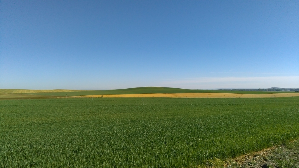 カストロへリス|フロミスタ|カミーノデサンティアゴ|caminodesantiago|巡礼|スペイン|小堺建築研究所|福岡の建築設計事務所