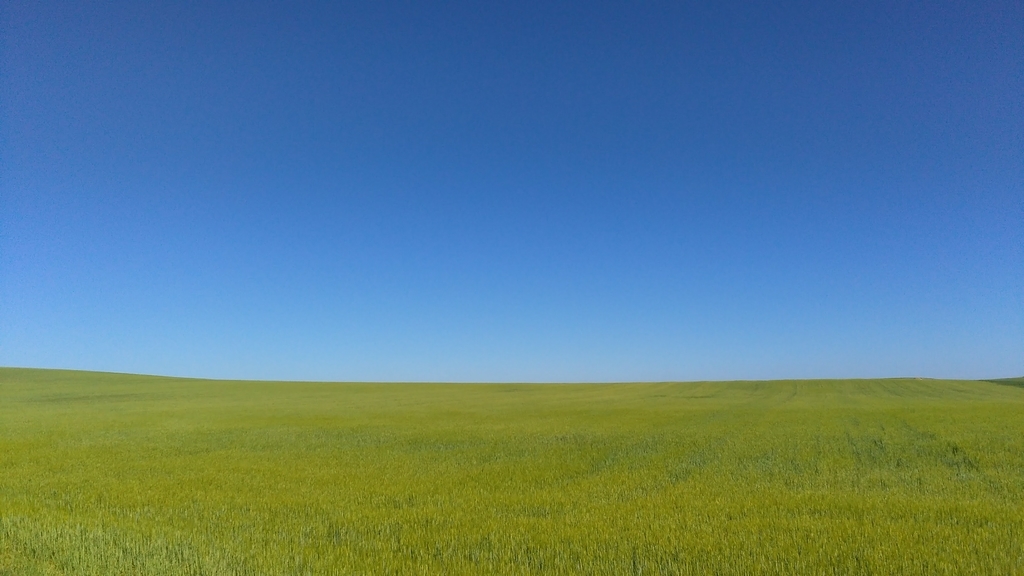 カストロへリス|フロミスタ|カミーノデサンティアゴ|caminodesantiago|巡礼|スペイン|小堺建築研究所|福岡の建築設計事務所