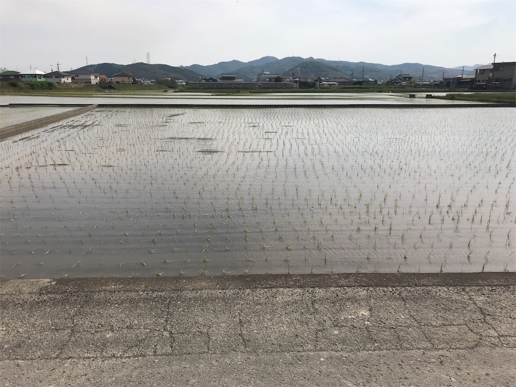 f:id:kozaaana:20180429005540j:image